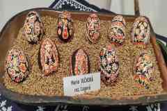 IMG_20250410_164536_1