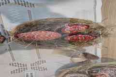 IMG_20250410_164717_1