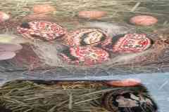 IMG_20250410_175136_1