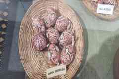 IMG_20250410_180658_1