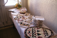 Kraslice 2009