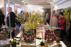 Kraslice 2009