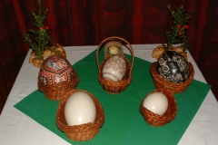 DSCF0005