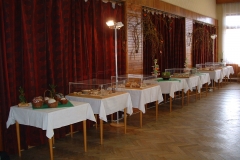 DSCF0037