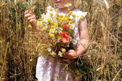 IMG-20220512-WA0008
