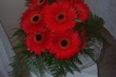 Téma svatby - kostel 2009