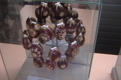 Žďár - výroční schůze 2007